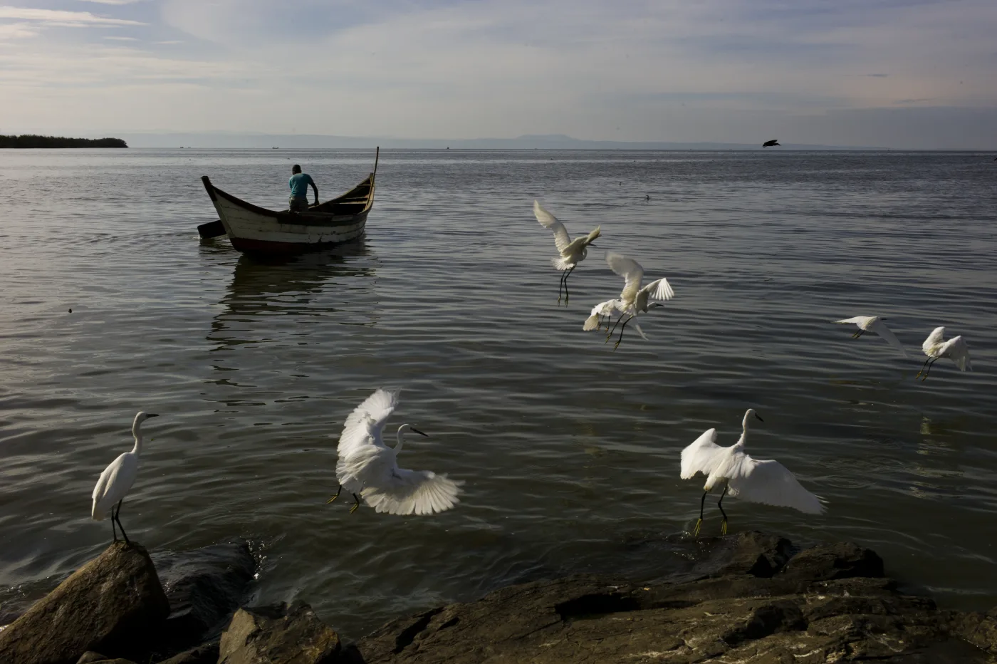 From the world’s crisis zones: a photograph by Dominic Nahr.