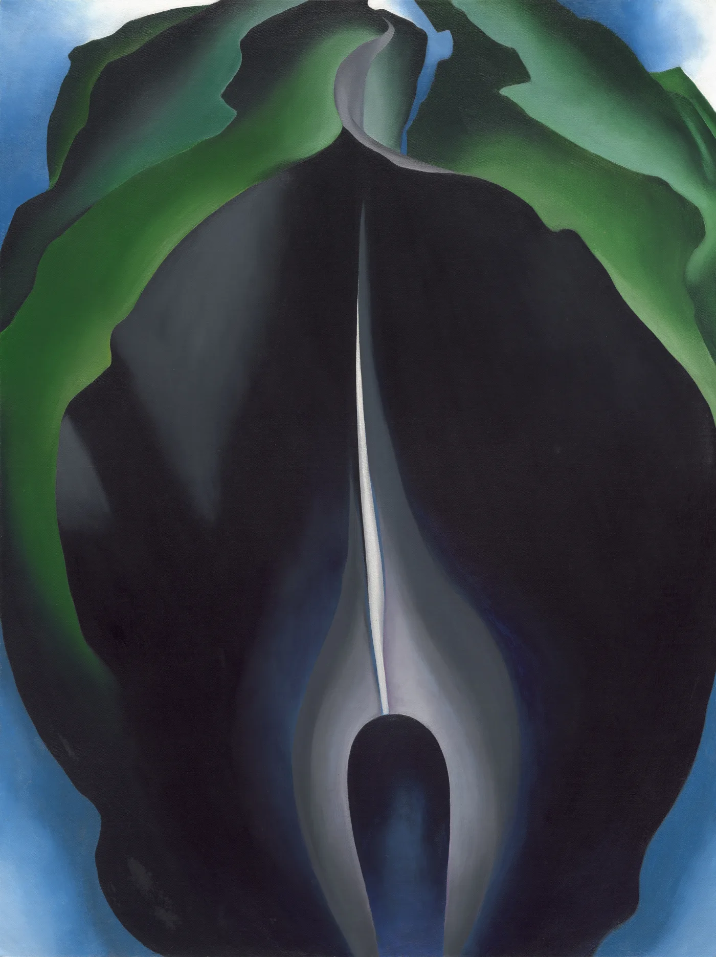 Through the Eyes of a Woman