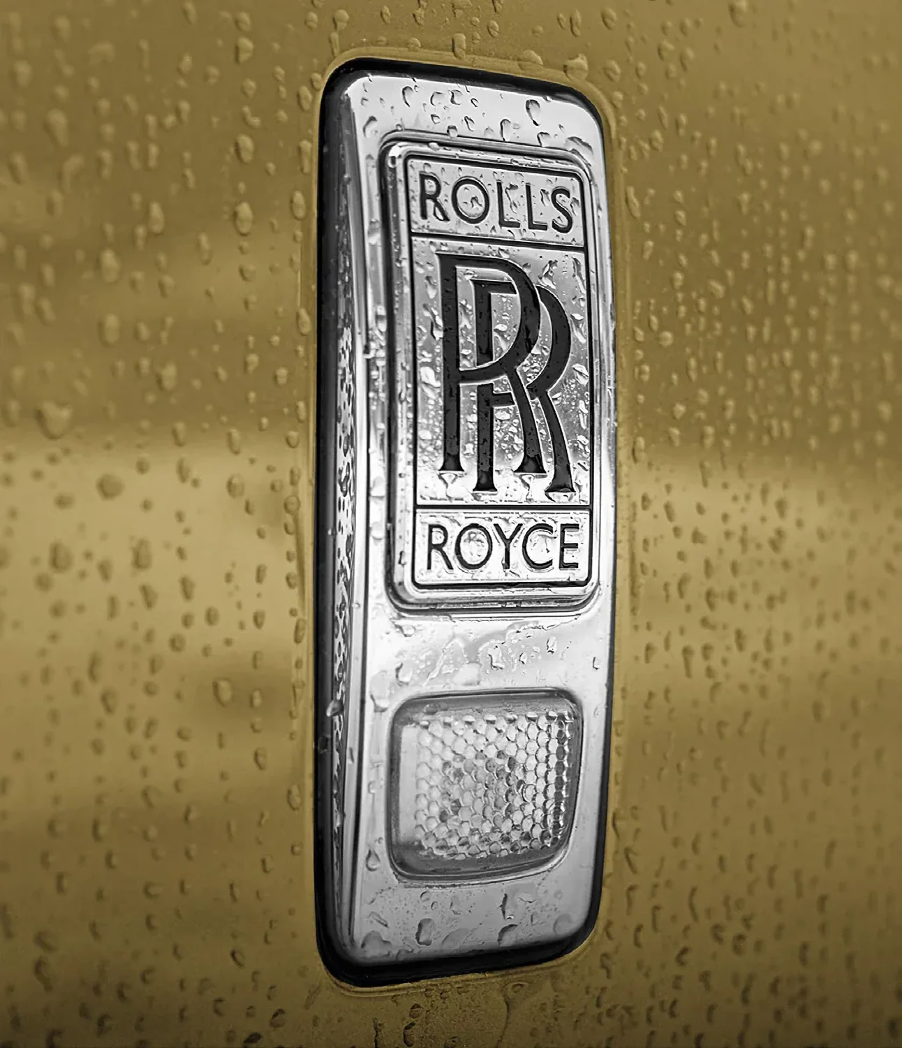 Relaxed experience: Moving a Rolls-Royce about is easier than expected. The mighty car is astonishingly compliant in its handling and, despite its unfamiliar dimensions, has a calming aura. At no point does it leave the woman at the wheel standing in the rain.