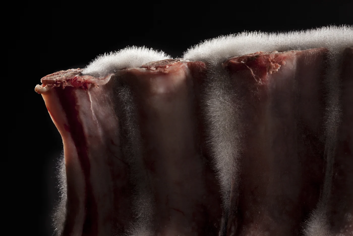 Controlled spraying: the secret noble mould grows on the meat and makes it butter-tender – «lumifying». Photo: Luma/Allink