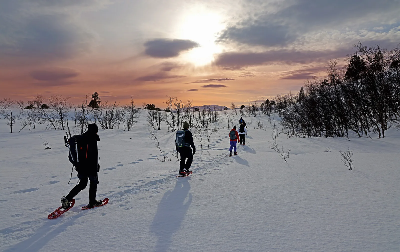 Snowshoe hike: Out in unspoilt nature beneath the low late-winter sun of northern Norway.