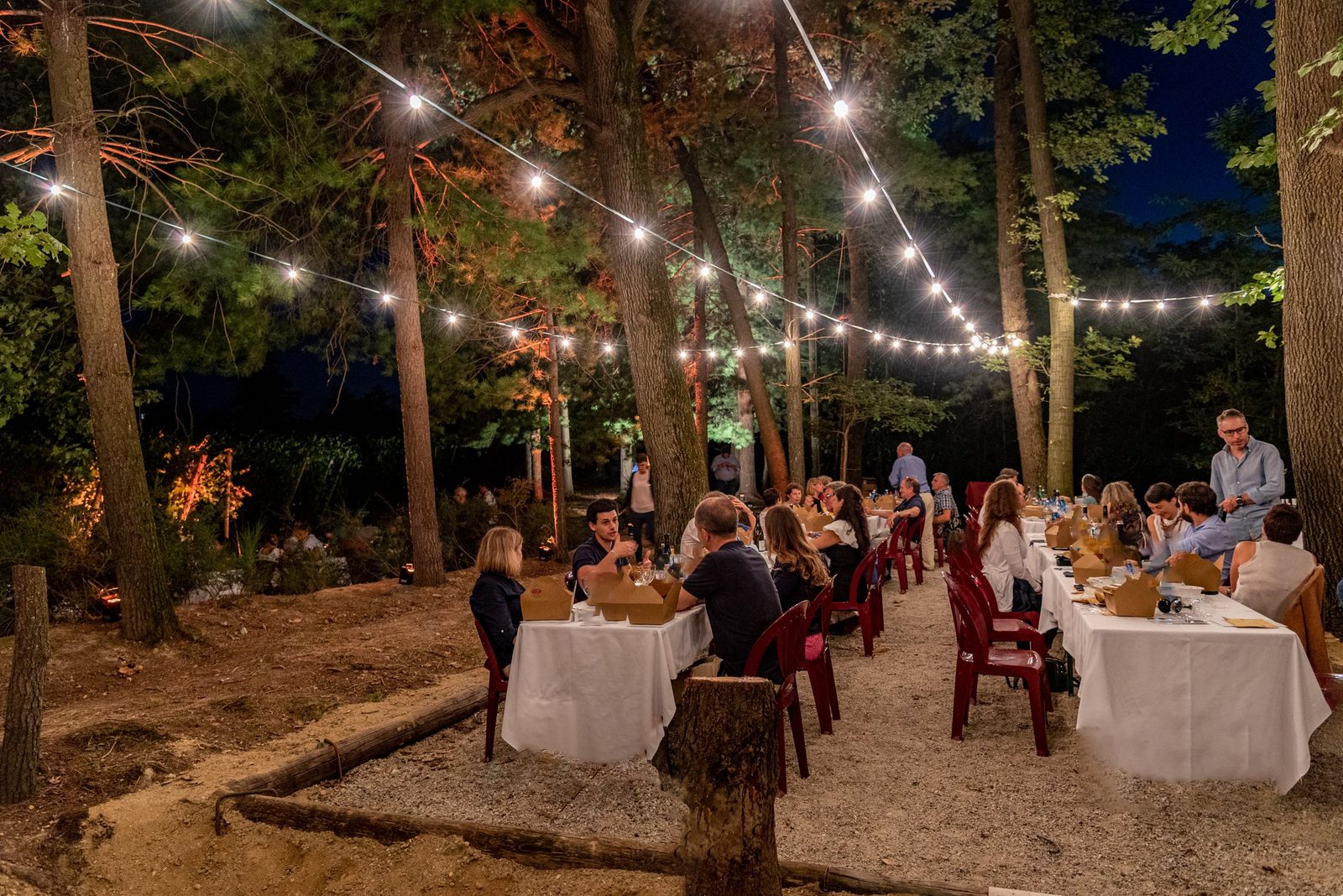 Cena a lunghe tavolate sotto le luminarie nel bosco